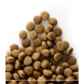 Sanimed-Intestinal-Hond