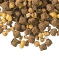 LOBO energy special detail