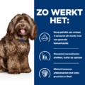 Hill's B/d Canine - Ageing And Alertness Care - productafbeelding detail 3