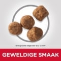 Hill's Canine Mature Adult - Science Plan - Medium - Chicken - brokstructuur