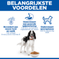 Hill's Canine Adult - Sp - Medium - Chicken - 12 Kg