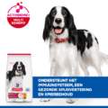 Hill's Canine Adult - Sp - Medium - Chicken - 12 Kg