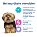Hill's Canine Adult - Ve Mb Dental - Small & Mini - Chicken - 2 Kg