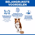 Hill's Canine Mature Adult - Sp - Chicken - 12 X 370 Gr