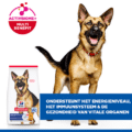Hill's Canine Mature Adult - Sp - Large Breed - Chicken - 14 Kg