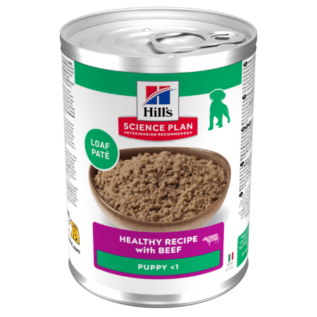 Hill's Canine Puppy - Sp - Beef - 12 X 370 Gr