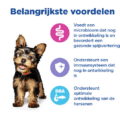 Hill's Canine Puppy - Ve Mb - Small & Mini - Chicken - 2 Kg