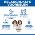 Hill’s Canine Puppy – Sp – Medium – Chicken – 12 Kg