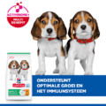 Hill’s Canine Puppy – Sp – Medium – Chicken – 12 Kg