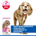 Hill's Canine Senior - Sp - Small & Mini - Chicken - 1,5 Kg