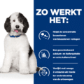 Hill's Cd Canine - Urinary Care - Chicken - 12 X 370 Gr