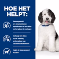 Hill's Cd Canine - Urinary Care - Chicken Stew - 24 X 156 Gr