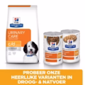 Hill's Cd Canine - Urinary Care - Chicken Stew - 24 X 156 Gr