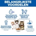 Hill's Fel Kitten - Sp - Chicken - 1,5 Kg