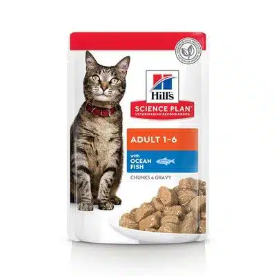Hills-Feline-Adult-Sp-Salmon-12-X-85-Gr.