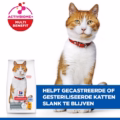 Hill's Feline Adult Sterilised - Chicken - 1,5 Kg