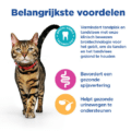 Hill's Feline Adult - Ve Mb Dental - Chicken - 6 X 250 Gr
