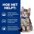 Hill's Id Feline - Digestive Care - Chicken Pouch - Kitten - 12 X 85 Gr