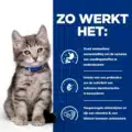 Hill's Id Feline - Digestive Care - Chicken Pouch - Kitten - 12 X 85 Gr