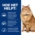 Hill's Kd Feline - Kidney Mobility - Chicken Pouch - 12 X 85 Gr