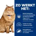 Hill's Kd Feline - Kidney Mobility - Chicken Pouch - 12 X 85 Gr