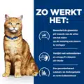 Hill's C/d Feline - Urinary Care - Chicken Stew - productafbeelding detail 3