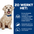 Hill's Wd Canine - Diabetes Care - Chicken - 12 X 370 Gr